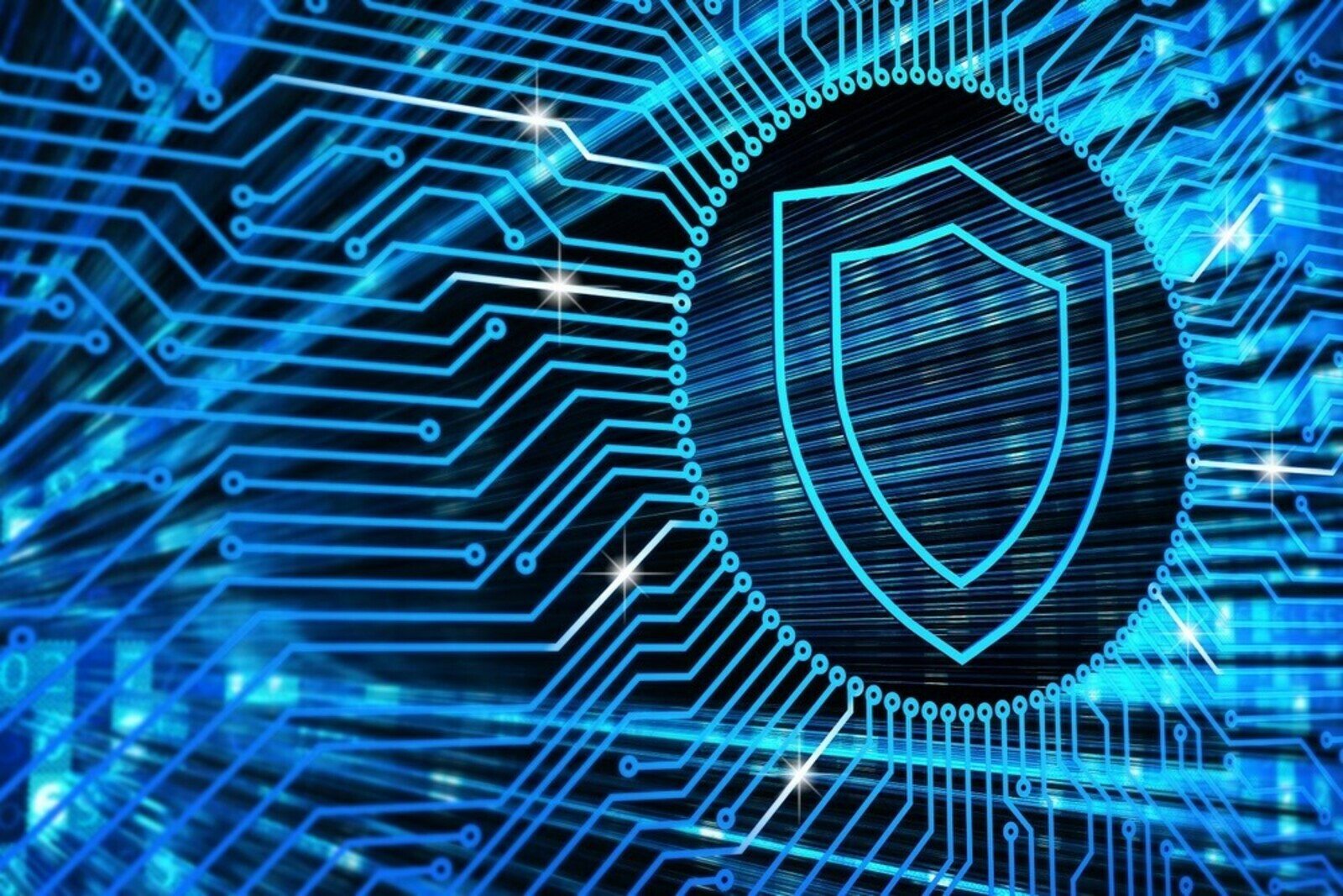 Кировских школьников и студентов приглашают на турнир по защите информации (анонс)