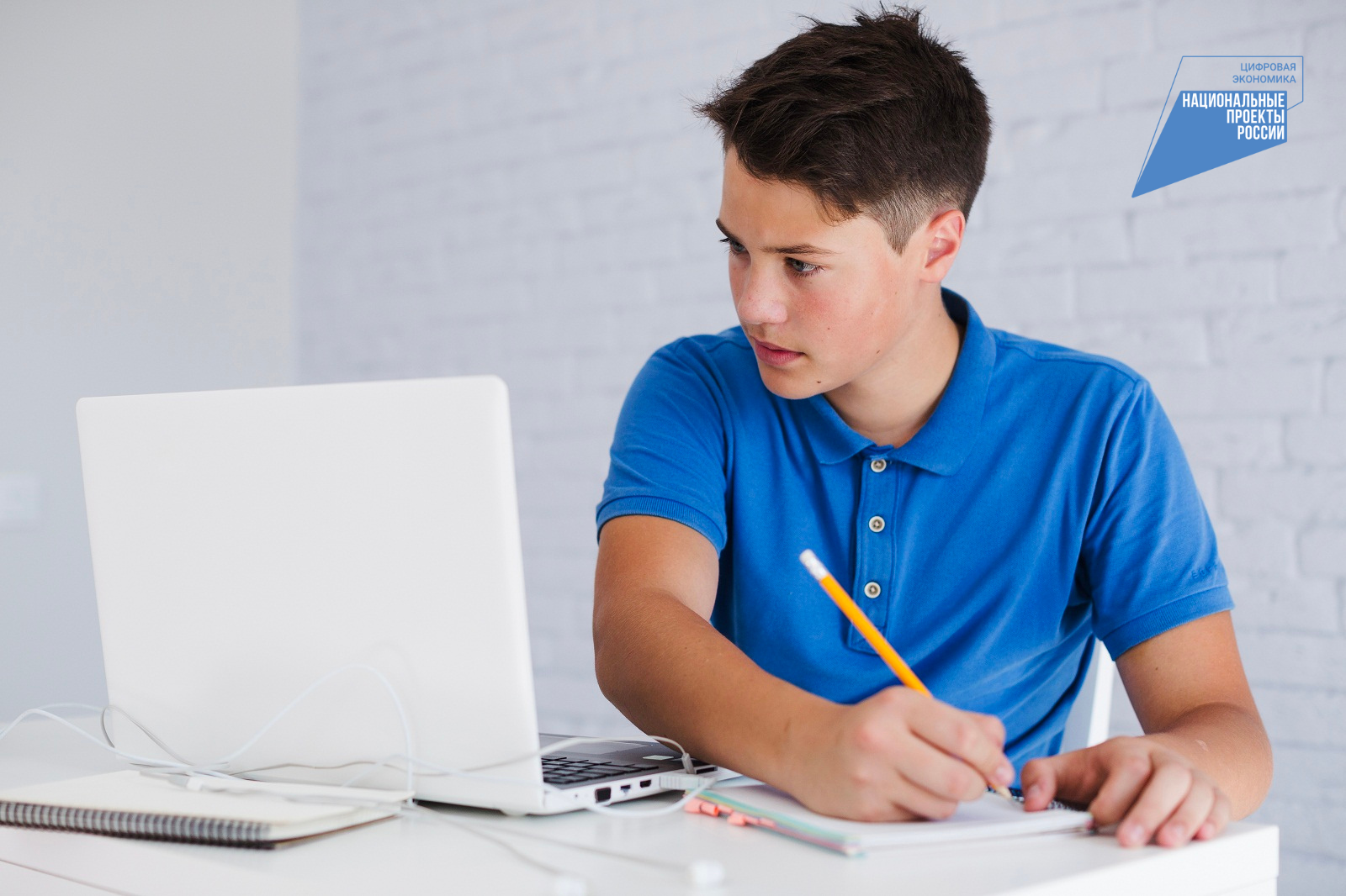 Кировские школьники могут бесплатно изучить языки программирования (анонс)