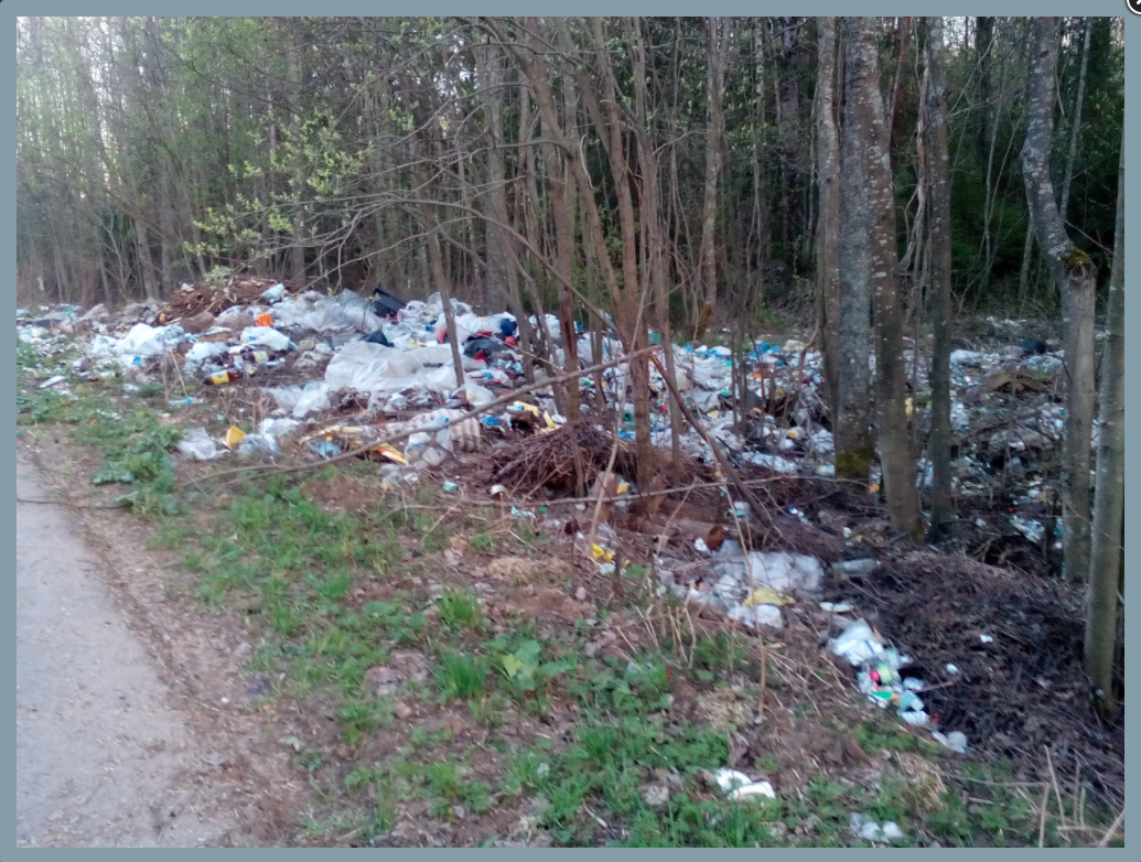 Итоги работы сервиса «Общественный контроль» за 2017 год