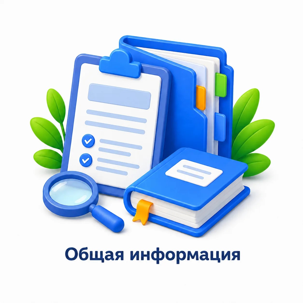 Общая информация