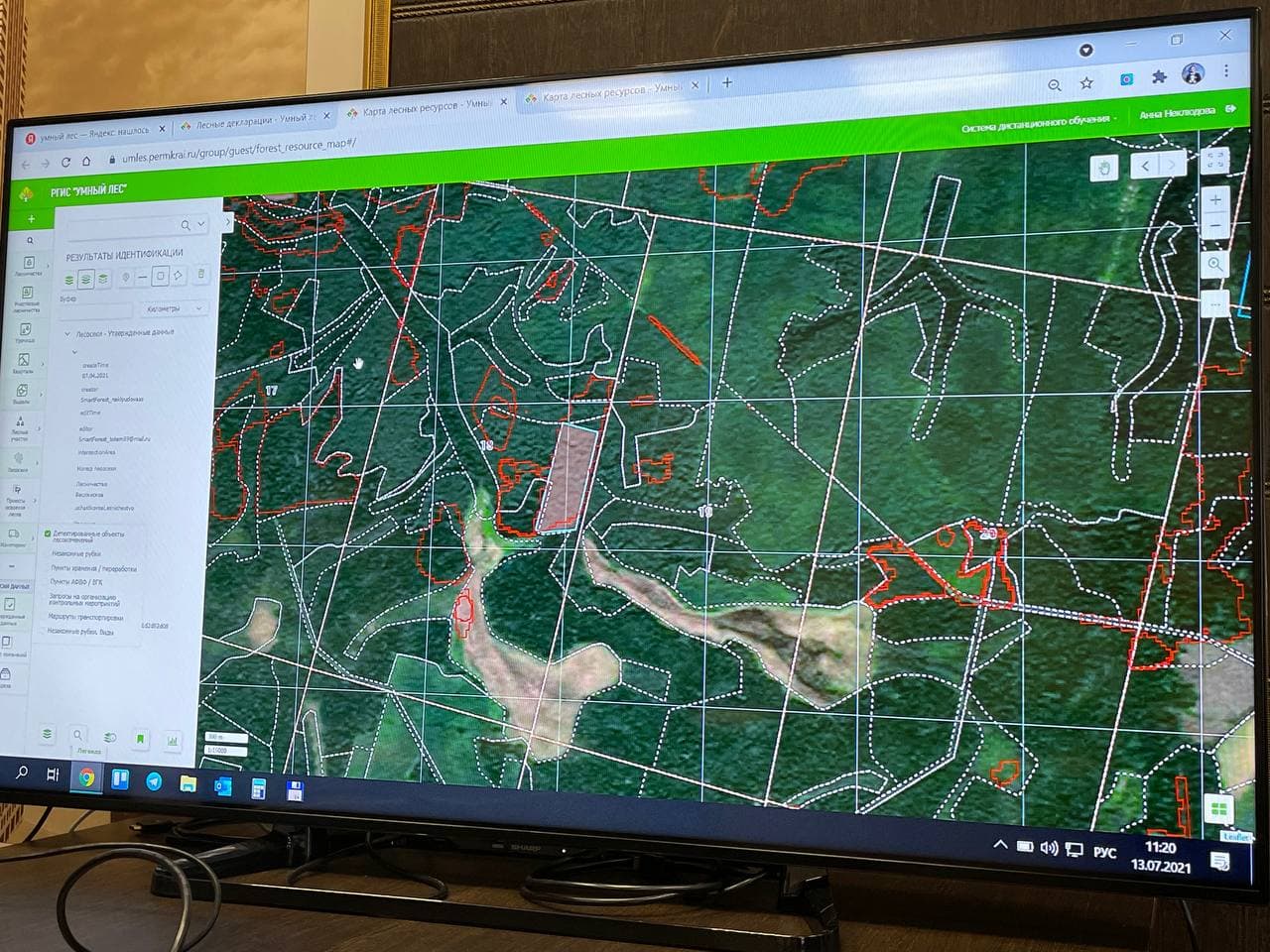В Кировской области ведутся работы по цифровизации данных лесного фонда (анонс)