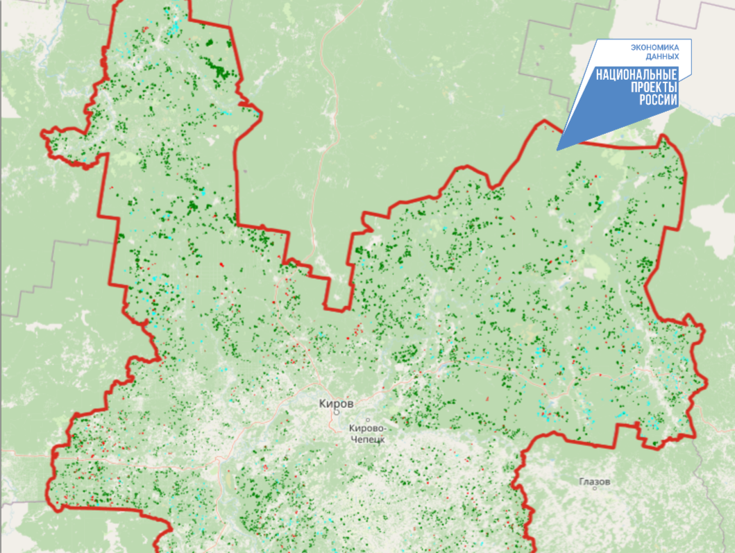 Кировская область усиливает контроль за лесами с помощью цифровизации (анонс)