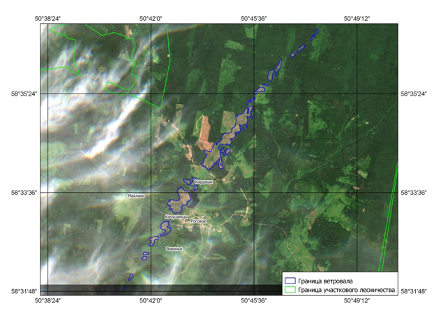 Завершен дистанционный мониторинг более 550 тысяч га территории Кировской области