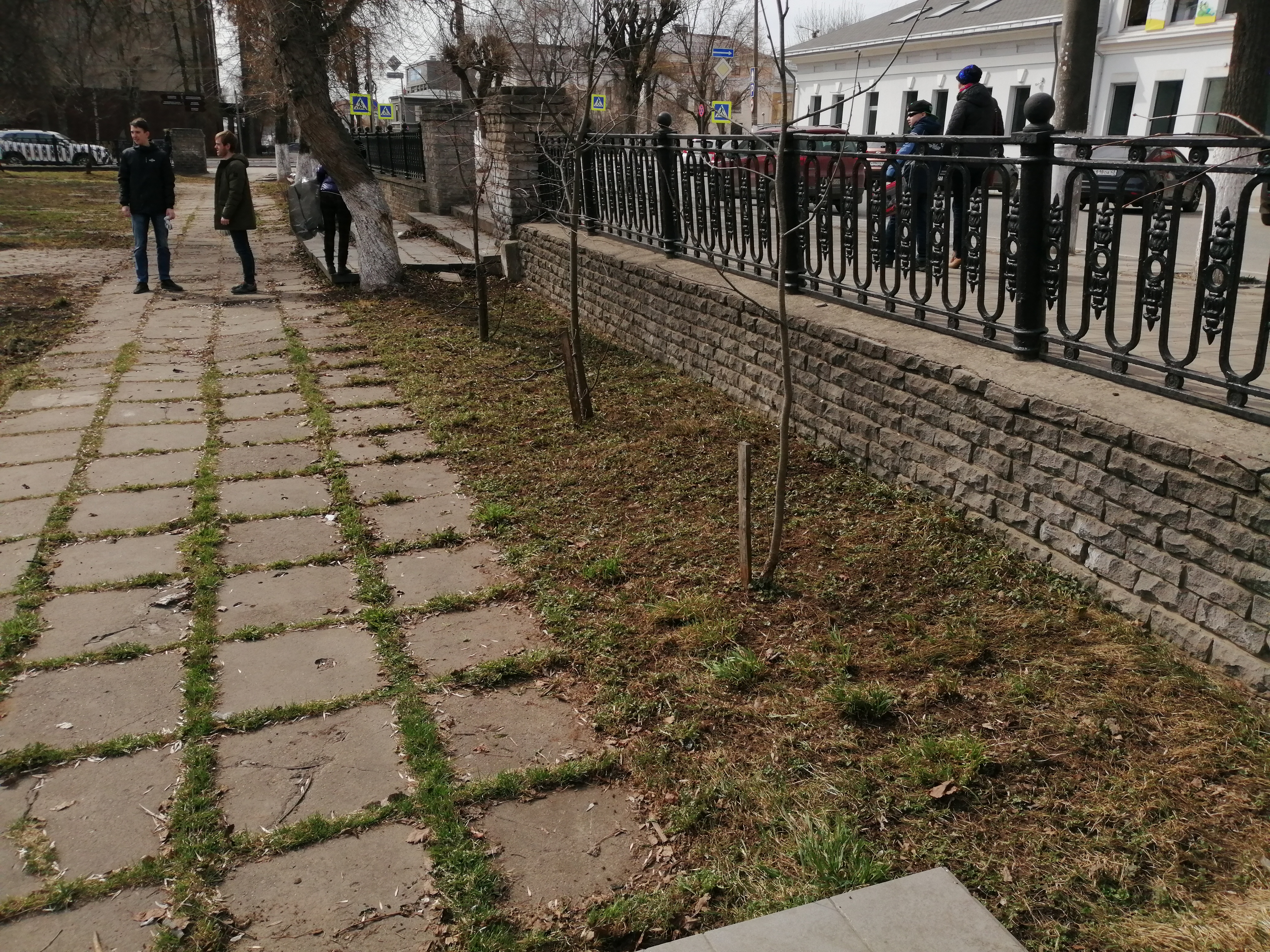 Центр стратегического развития информационных ресурсов и систем управления принял участие в общегородском субботнике