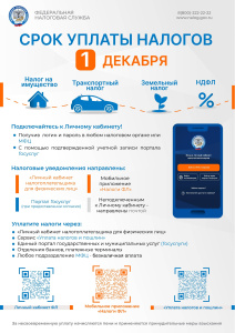 Срок оплаты имущественных налогов заканчивается 1 декабря!