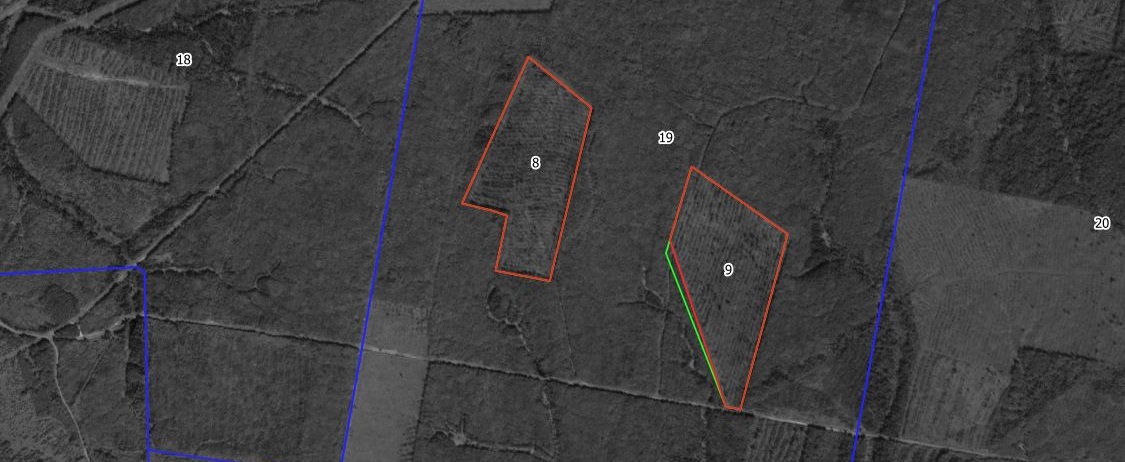 Завершен дистанционный мониторинг 470 тысяч гектаров территории Кировской области (анонс)