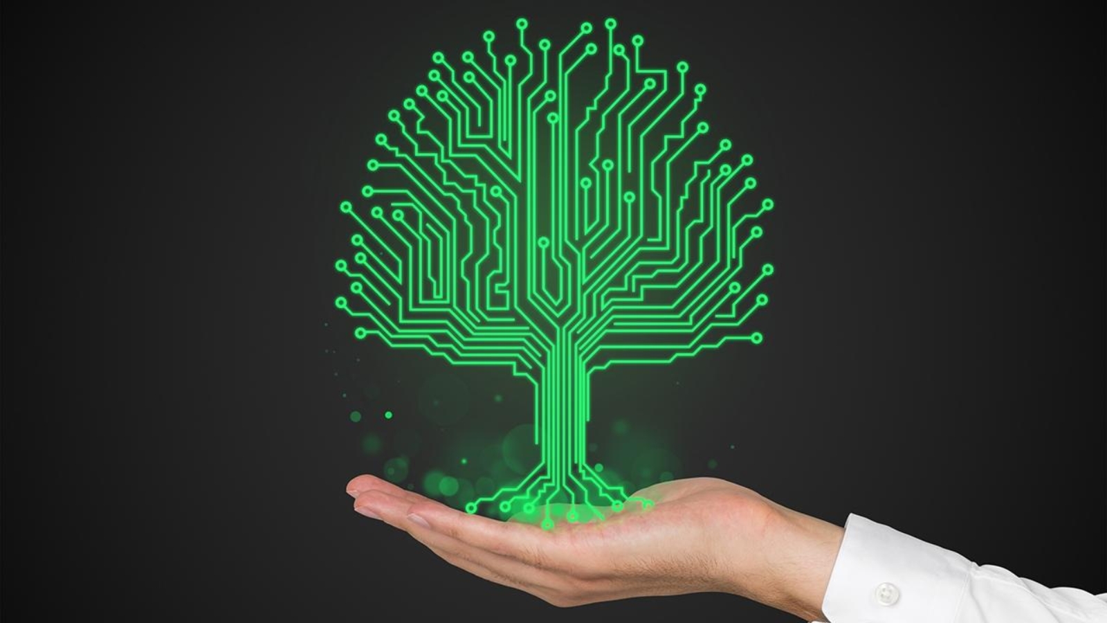 В Кировской области цифровизируют лесное хозяйство (анонс)